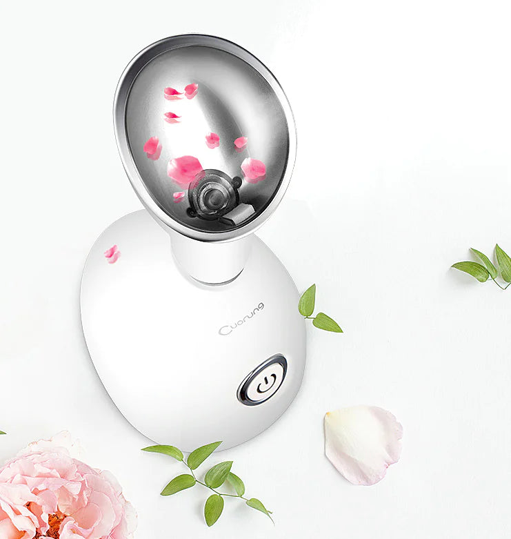 Home Facial Steamer and Nano Cleansing Device