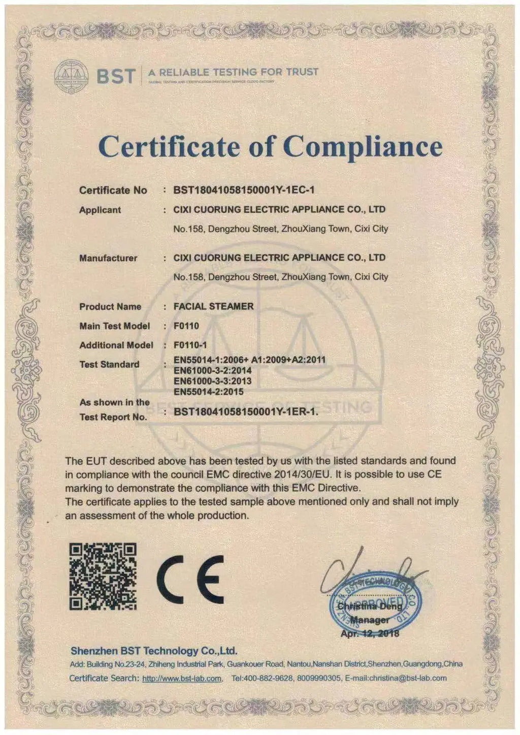 Home Facial Steamer and Nano Cleansing Device